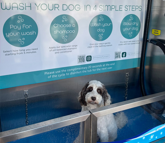 The Woofy Wash